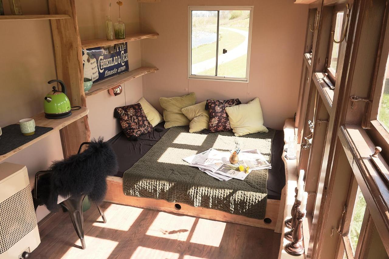 Krusmolle Glamping Hotell Aabenraa Exteriör bild